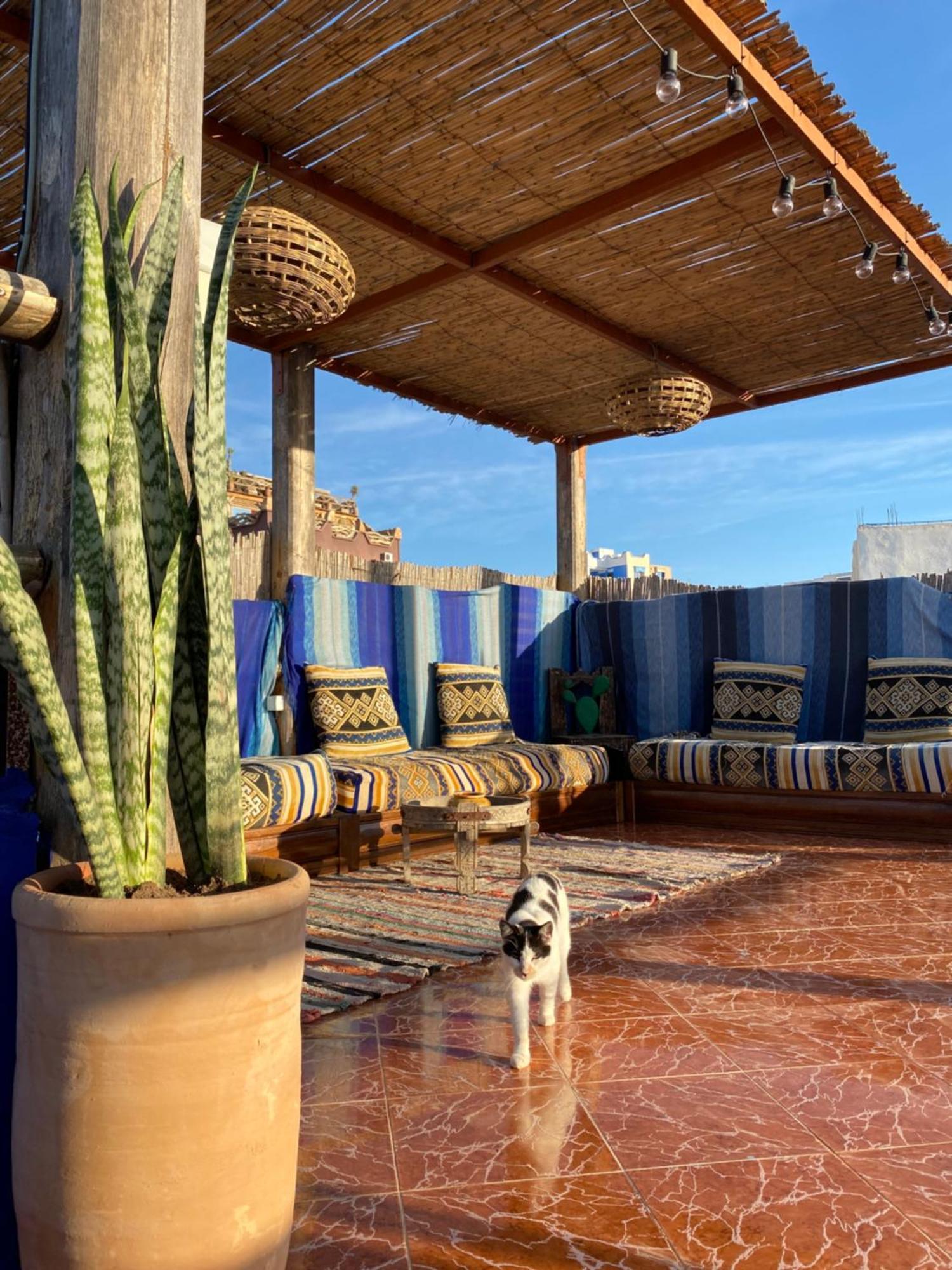 Azura Surf Hostel Tamraght ภายนอก รูปภาพ
